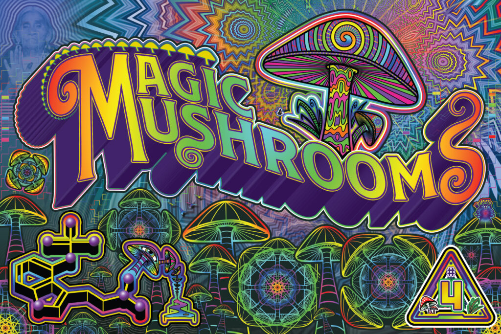 The front of the DanceSafe magic mushrooms card.