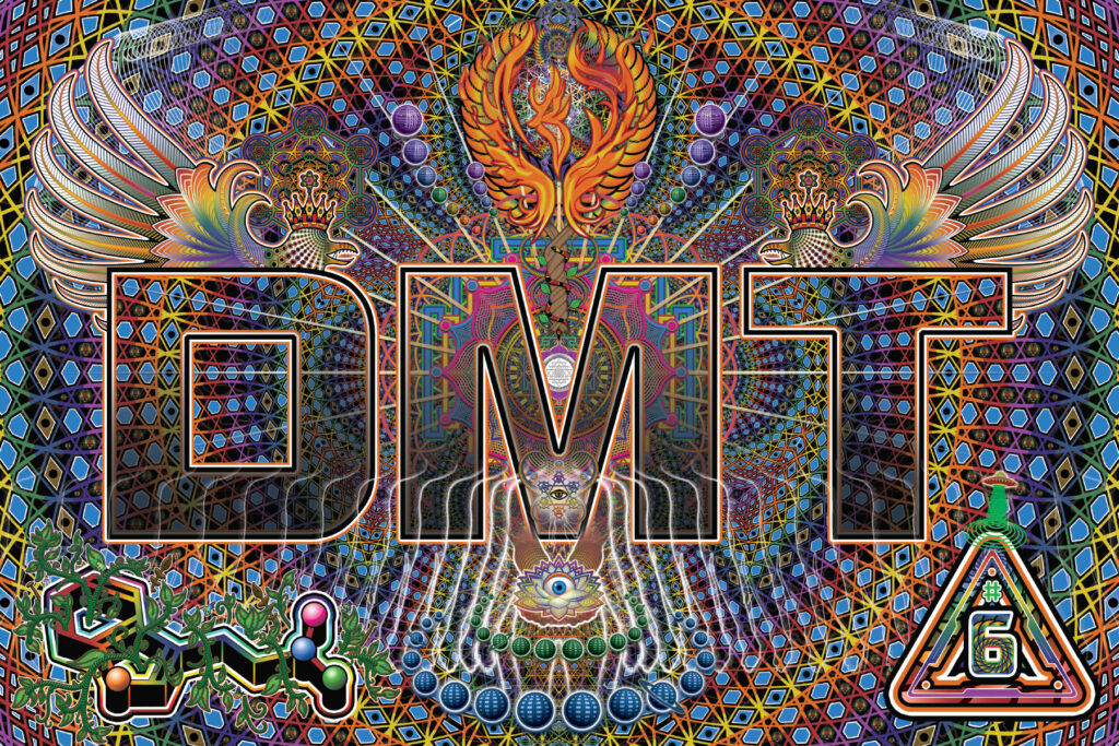 The front of the DanceSafe DMT card.