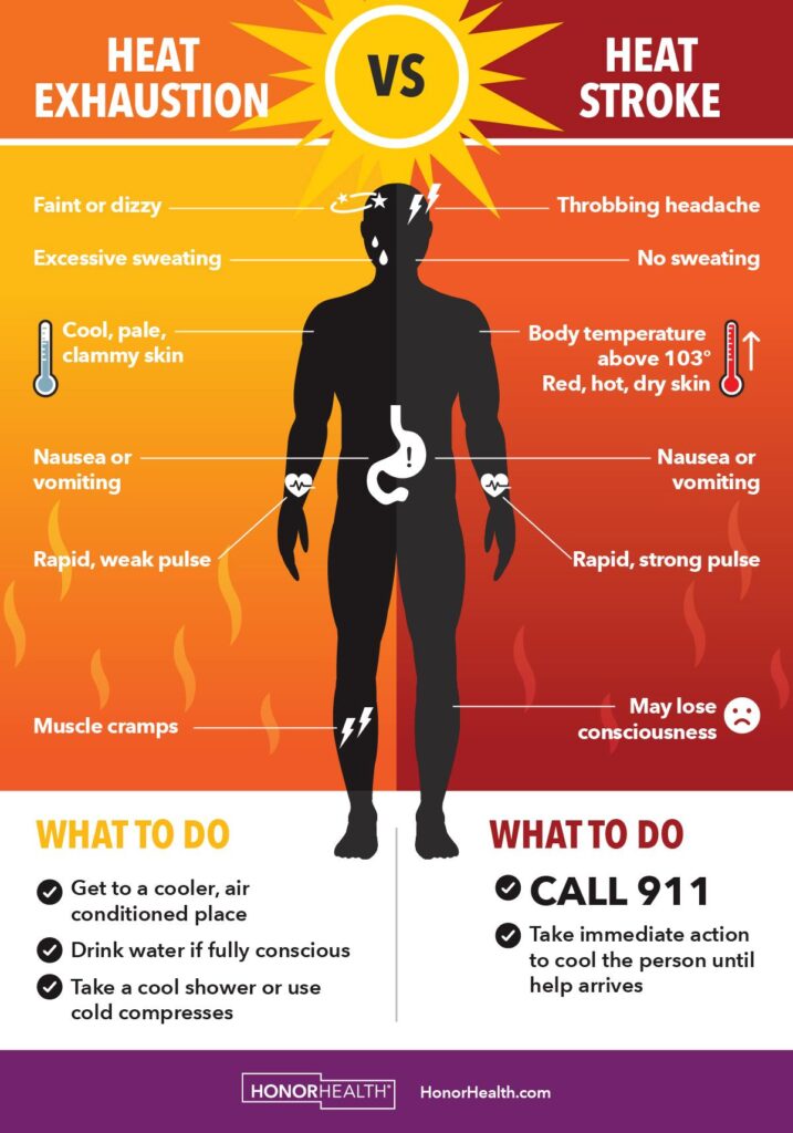 An infographic showing the major differences between heat stroke and heat exhaustion.