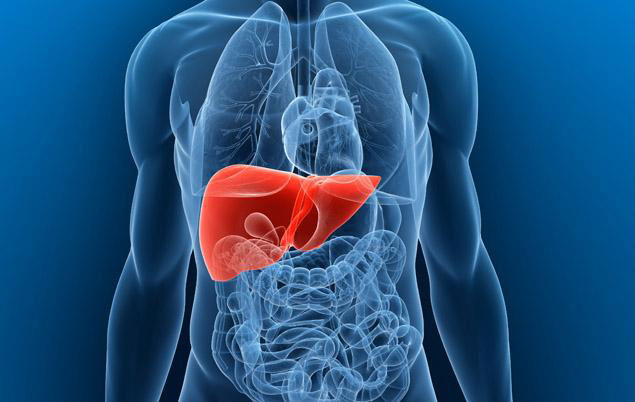 Ways to a Healthy Liver