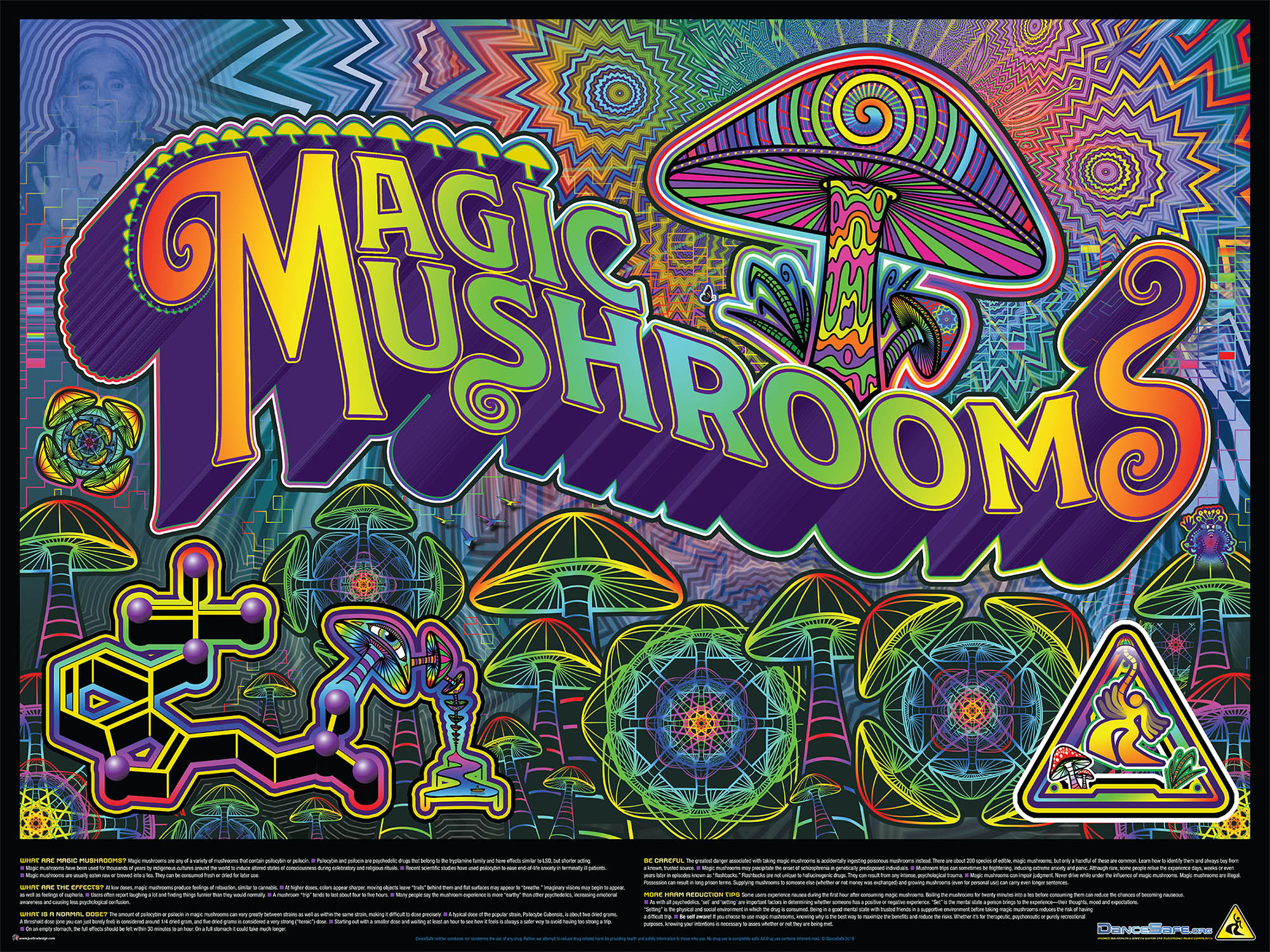 The DanceSafe mushroom poster, with the mushroom card art on top and information about mushrooms on the bottom.