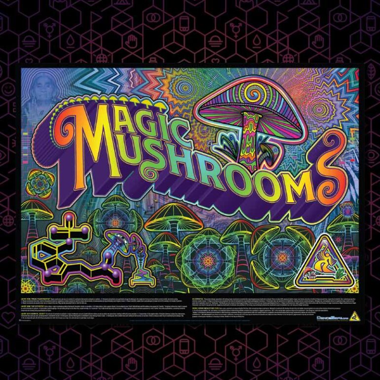 DanceSafe's magic mushrooms poster on a dark purple hexagonal background.