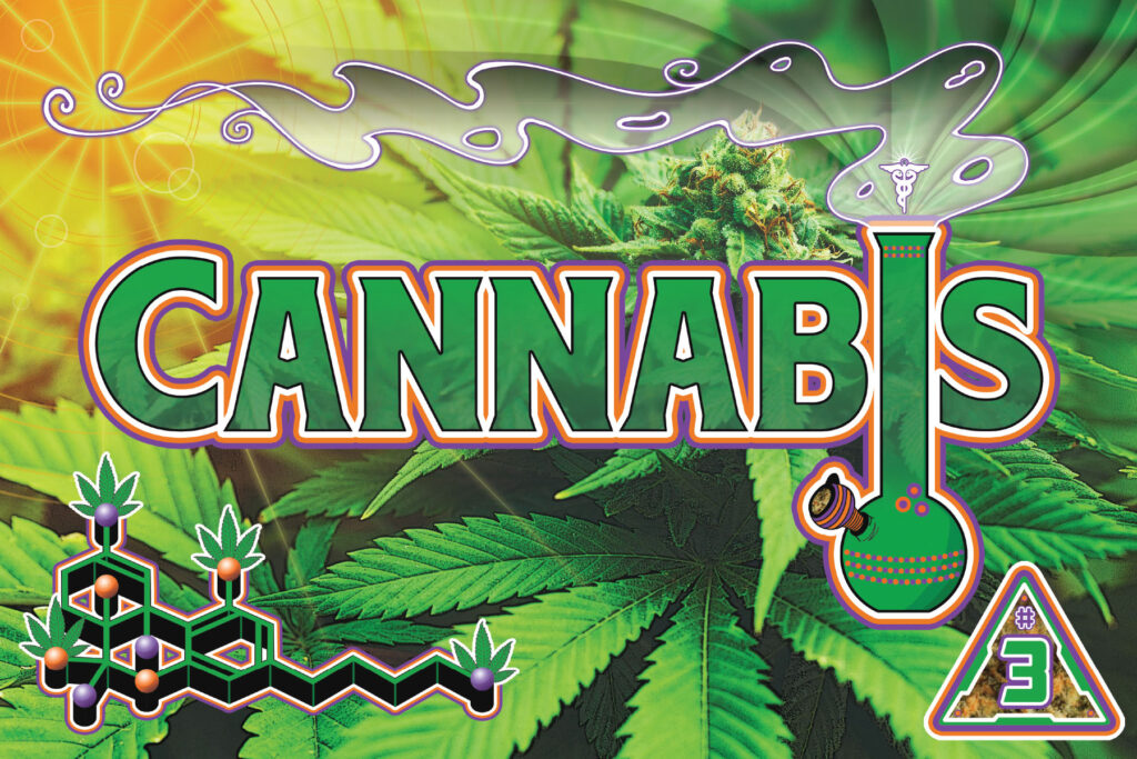 Cannabis - also called marijuana - is a plant containing over 100 cannabinoids, the best known of which are THC and CBD.