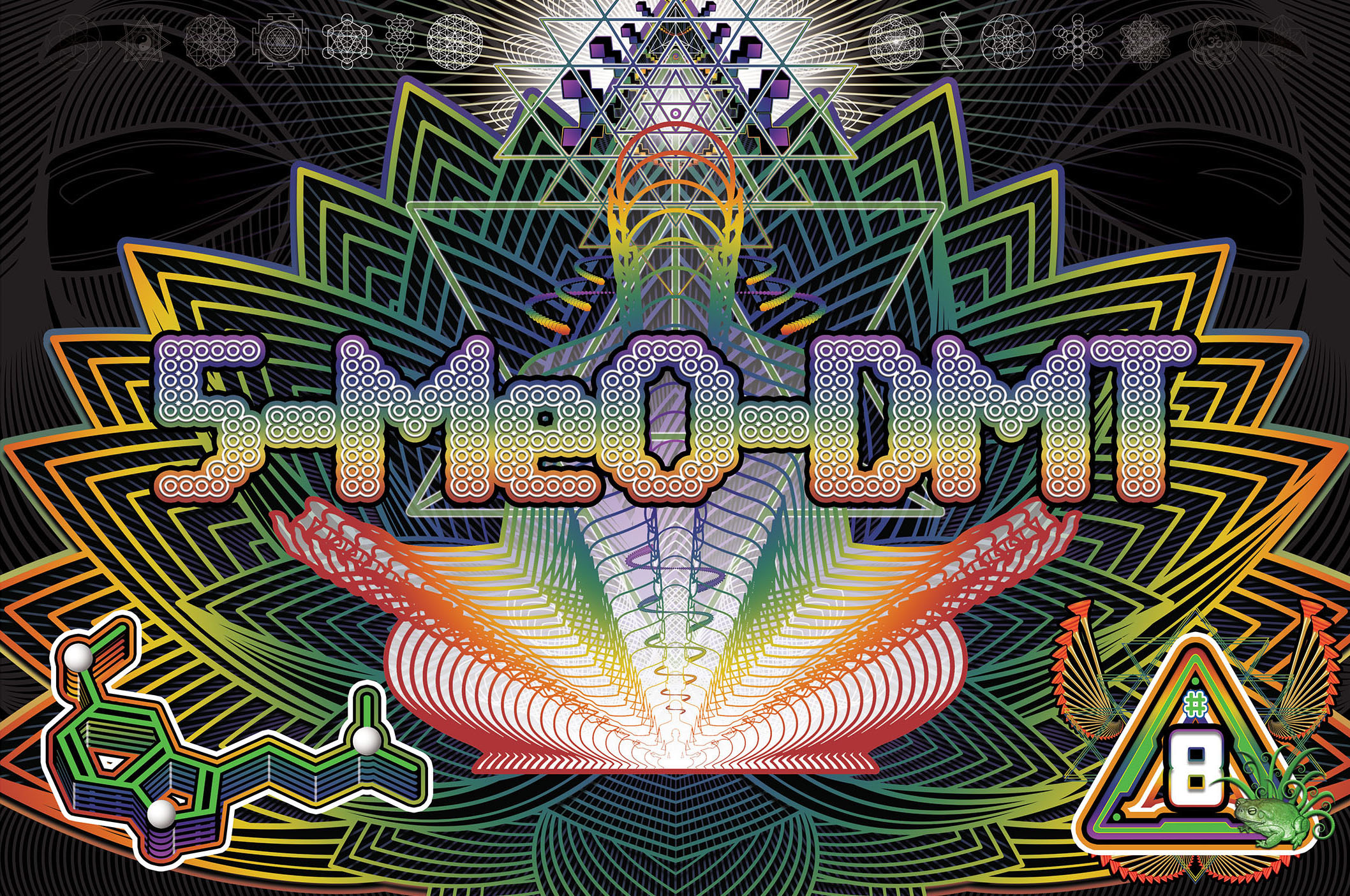 what is dmt